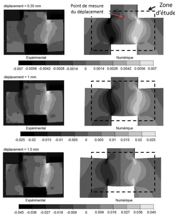 Figure II - 22 : Champs de déformation en cisaillement obtenus   par stéréo corrélation et par simulation numérique 
