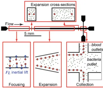 Fig. 1-25  Schematic of equilibrium separation in a straight channel with an expansion zone