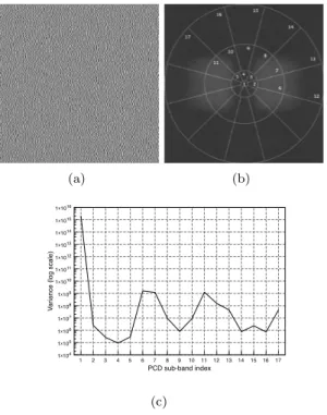 Figure 2-a shows the spatial representation of the weighted watermark along with its Fourier  representa-tion (2-b), where the PCD is superimposed to explicitly show that most of the watermark’s energy is contained within the appropriate visual sub-bands