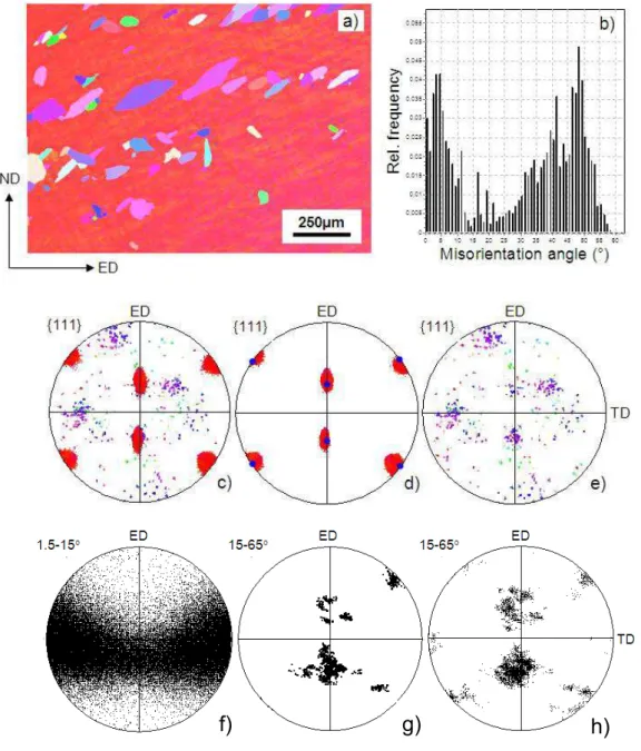 Fig. 6.1. Early stage of recrystallization in Al single crystal of (110)[00-1] orientation