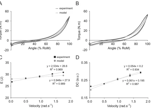 Fig. 4. A comparison between model and experimental results. Averaged torque–angle relationships (expressed as a percentage of the maximal range of motion, RoM) obtained at (A) 0.53 rad s 1 and (B) 1.57 rad s 1 