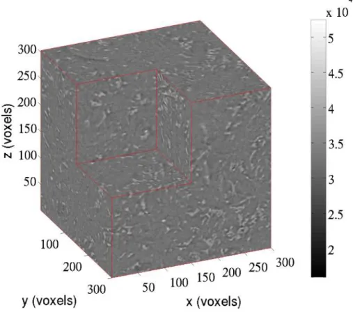 Figure II.11 – Microstructure de l’alliage après reconstruction : l’image est ici codée en 16 bits