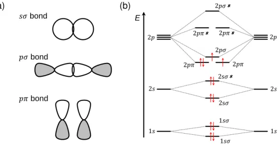 Figure 1.3: (a) Schematic depiction of different bond types for s and p orbitals. (b) Molecular orbital diagram of dicarbon