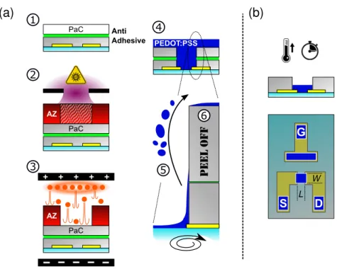 Figure 1.14: (a) Patterning of conducting polymer with sacrificial layer peel-off technique.