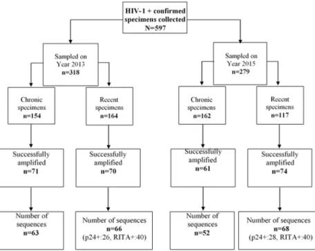 Fig 2. Number of sequences (one per patient) used in this study. N = 249 derived from 134 recently versus 115 chronically HIV-1 infected individual’s sequences data were included in the study.