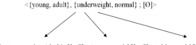 Fig. 2. Example of SaintEtiQ hierarchy