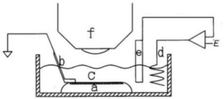 Figure 1.12 : Experimental set up for the moving front experiment of Aoki et al. (a) PANI film on a PMMA  substrate, (b) Pt plate, (c) H 2 SO 4  solution, (d) counter electrode, (e) reference electrode, (f) microscope
