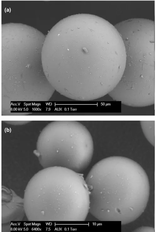 Fig. 3.2. Electron microscope scan images of the glass beads showing the asperities on the particle  surface