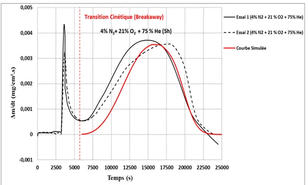 Figure II.25 : Courbes expérimentales de vitesse de prise de masse et courbe calculée  