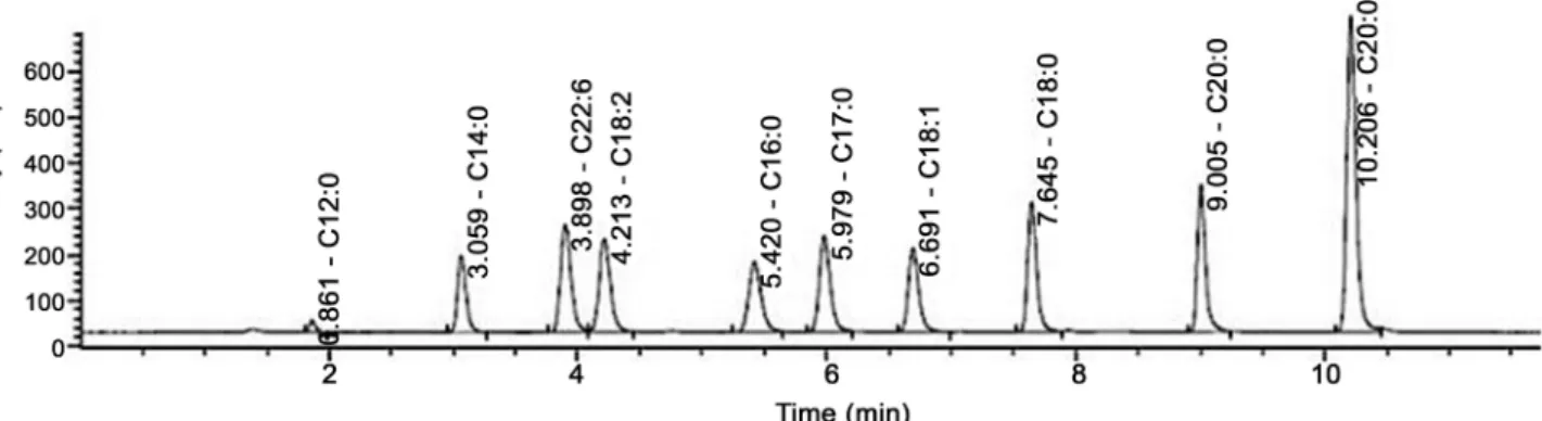 Figure 4. HPLC-ELSD chromatogram of a standard mixture of 10 FFAs (2 mM). Injection volume: 5 µL