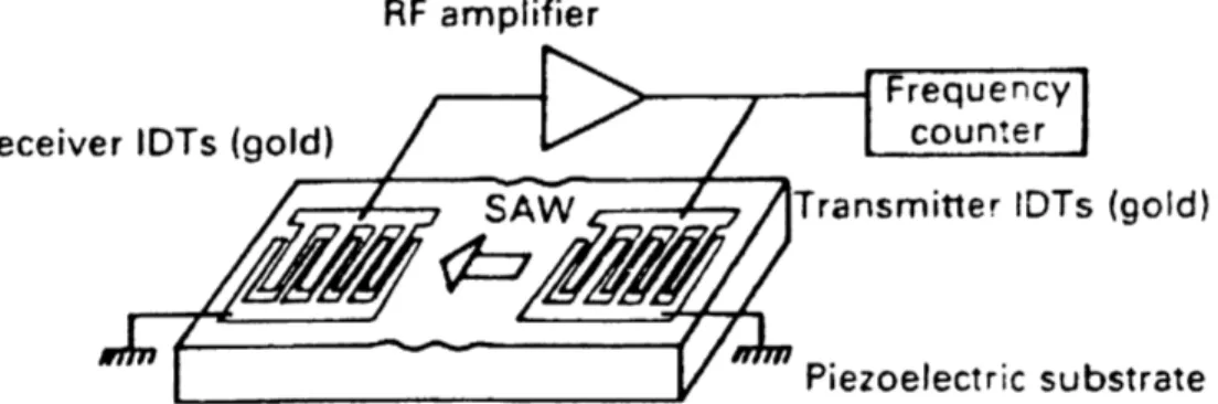 Figure 5: Schematic of a SAW device from Chang, S. M.; Muramatsu, H.; et al. 