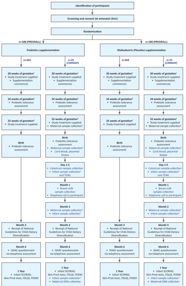 Figure 1  Participant flow diagram.  1 Timepoints ± 6 days;  2 timepoint ± 7 days;  3 blood, stool and DNA;  4 stool and  DNA. CIMMAP, Characterising the effect of maternal prebiotic supplementation on perinatal Immune system maturation,  Microbiota and br