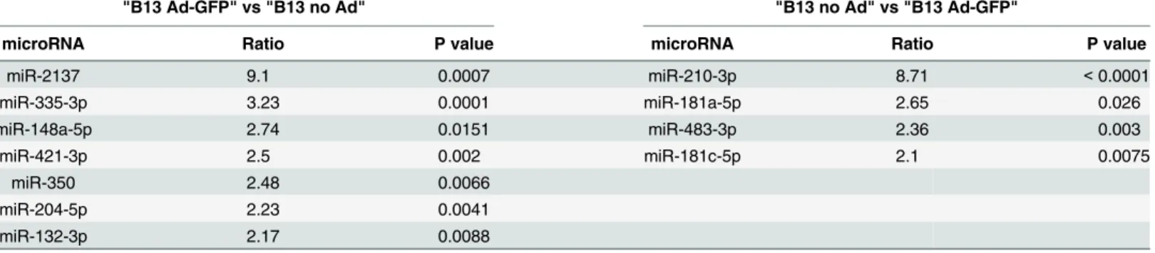 Table 2. Differentially expressed miRNAs comparing B13 cells transduced with Ad-GFP to not transduced B13 cells