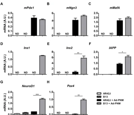 Fig 1. Expression levels of β cell markers after Ad-PNM transduction in AR42J and B13 cells