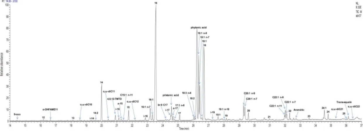 Figura 5. Mass chromatogram of the acidic fraction of soil sample LANA4 from Lanashuaia I.