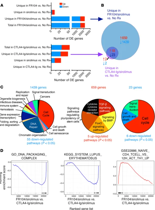 Figure 5. FR104/sirolimus synergistically modulates T cell effector and proliferative transcriptional signals dysregulated during aGVHD