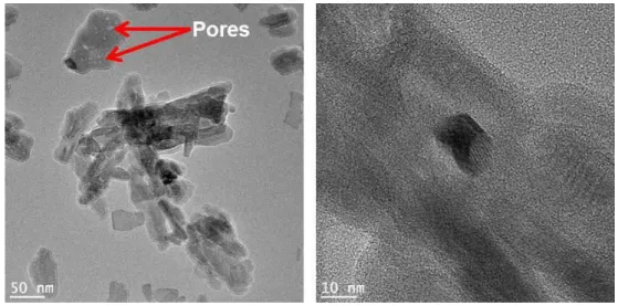 Figure  3.23  and  Figure  3.24  show  the  TEM  and  cartography  results for  this  catalyst,  respectively