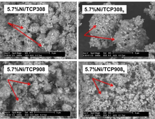 Figure 3.25. ESEM of Ni-based catalysts prepared from the supports with and without 