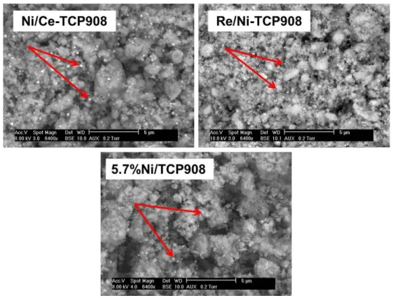 Figure 3.26 presents the influence of promoter addition on the textural properties  of the 5.7%Ni/TCP908 catalyst