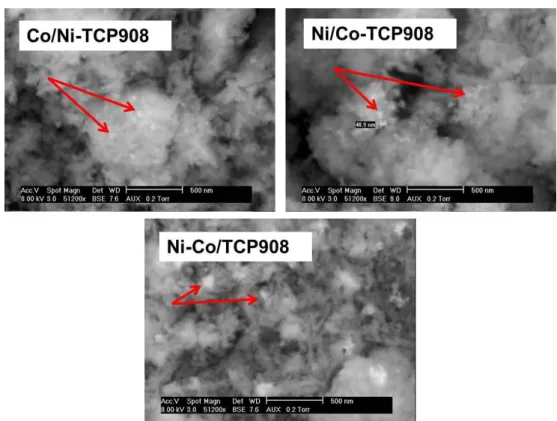 Figure  3.27  presents  the  ESEM  of  Ni-based  catalysts  promoted  with  cobalt. 