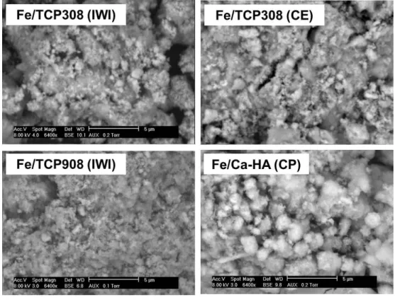 Figure 3.8 shows the ESEM analyses of the Fe-based catalysts 