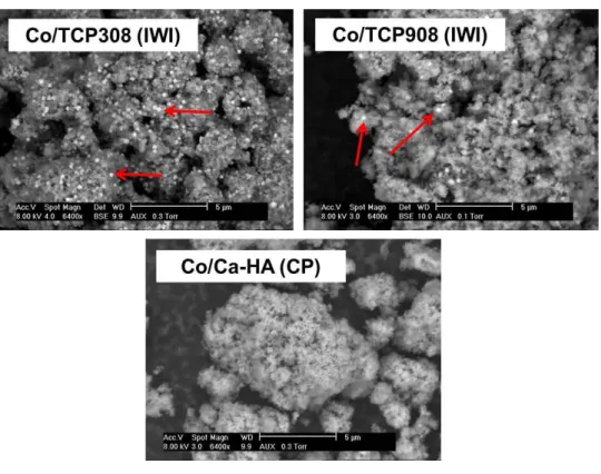 Figure 3.17 and Figure 3.18 show the SEM analyses of the Co-based catalysts  and Cu-based catalysts, respectively.