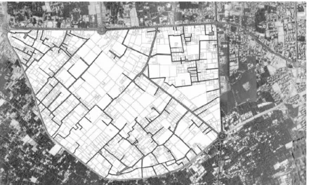Figure 1.12: Curvilinear network of streets in Bam's house-garden neighborhoods – Source: Naqsh-e-Jahan-pars  (2004) 