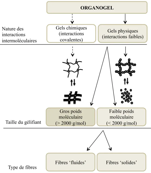 Figure 5. Classification des gels organiques selon la nature des interactions intermoléculaires  et la taille des molécules gélifiantes