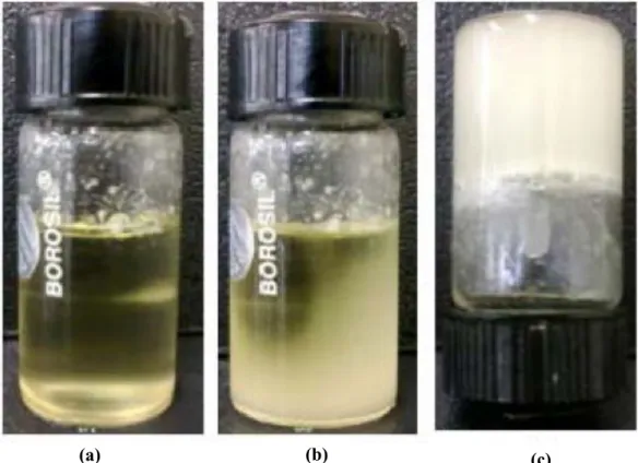 Figure  13.  Méthode  du  tube  renversé  pour  déterminer  la  transition  sol-gel  (a)  solution  homogène  contenant  la  phase  organique  (huile  de  tournesol)  et  l’agent  gélifiant  (18%  Span  60,  en  masse) ;  (b)  refroidissement  du  système 