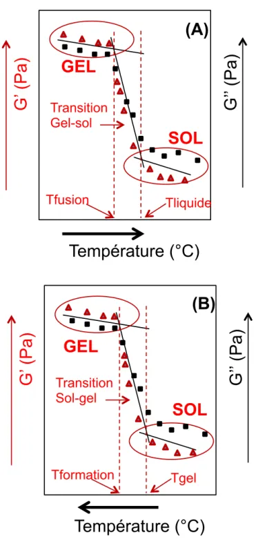 Figure  14.  Détermination  des  paramètres  de  transition  de  phases.  A)  Transition gel-sol ;  B)  Transition sol-gel