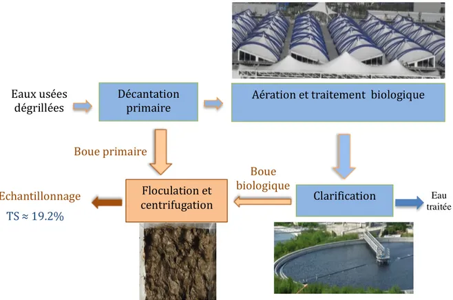 Figure  3-5 :  Schéma  des  procédés  de  traitement  des  eaux  mis  en  œuvre  de  la  station  d’épuration de Qige de Hangzhou (Chine) 