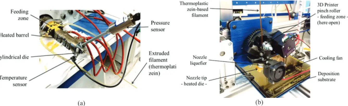 FIGURE 1. Extrusion of thermoplasticized zein as filament, at T die =130°C (a). 3D Printer-FDM, ORDBot Hadron (20x20cm 2 solid deposition substrate, T nozzle =130°C) : feeding zone with zein-based rigid filament with 20% glycerol content (Z20GLY) (b)