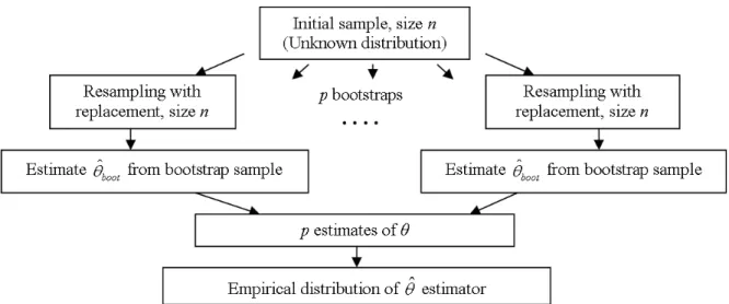 Figure 3-1. Schematic representation of bootstrapping. Bootstrap distribution of θ