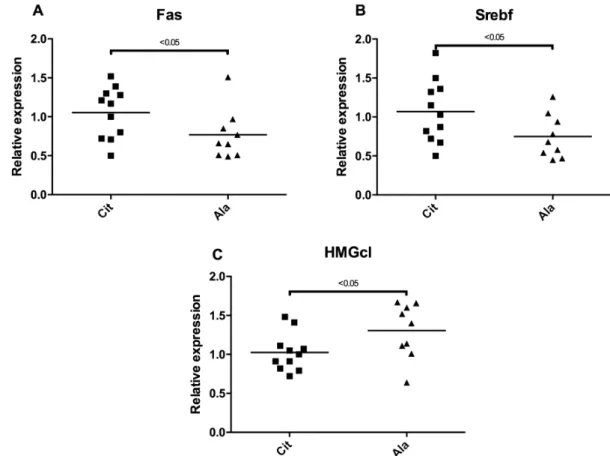 Figure 6. Relative expression level of genes ((A) Fas, fatty acid synthase; (B) Srebf, sterol regulatory  element‐binding  transcription;  (C)  HMGc1,  3‐hydroxy‐methyl‐glutaryl‐CoA‐synthase)  involved  in  liver lipid synthesis between the citrulline (Cit