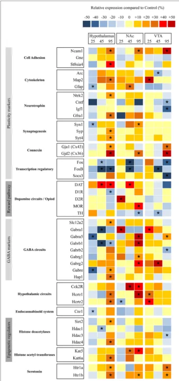 FigUre 4 | Relative gene expression in nucleus accumbens (NAc), ventral  tegmental area (VTA), and hypothalami from perinatal-western diet fed rats  and perinatal-control diet fed rats at three time periods