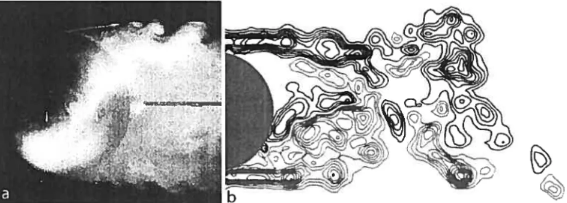 Figure 2.17. Initial shear layer instability vortices: (a) srnoke visualization in the wake of a sphere, Re0 1O [Taneda, 1978]; (b) PIV contours of positive and negative vorticity in the wake of a cylinder, Re0 i04 [Lin et al., 1995]