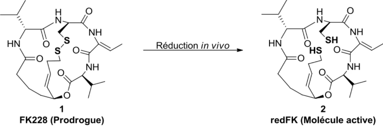 Figure 1. Modulation de la stabilité in vivo d’une drogue par ponts disulfures 4   