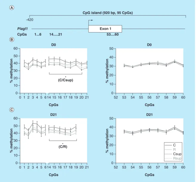 Figure 6. DNA methylation level in offspring liver of the CpG island covering the promoter, exon 1 and part of  intron 2 of the Plagl1 gene