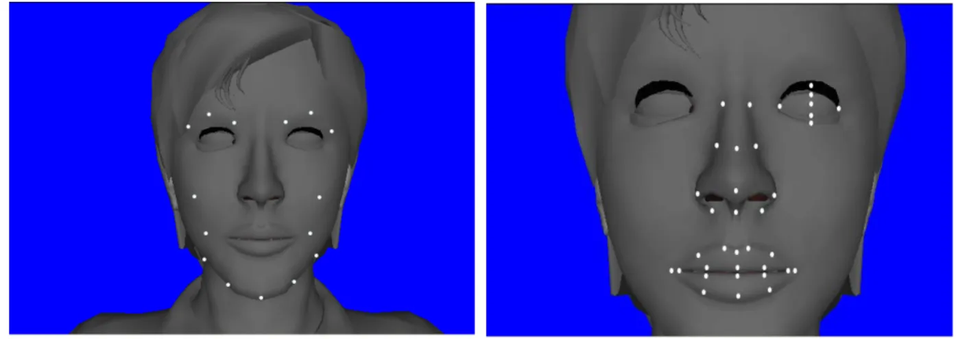 Figure 2.1. Examples of standardized key-points for the “face” object. 