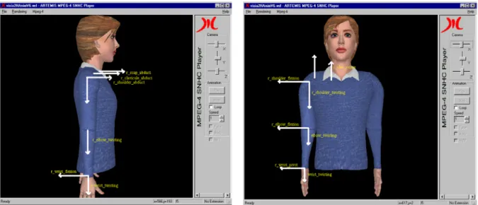 Figure 2.6. Standardized rotation axes attached to shoulder, elbow and wrist. 