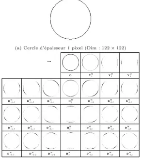 Fig. 2.13. Illustration des diérents coecients du module de la FFT du cercle