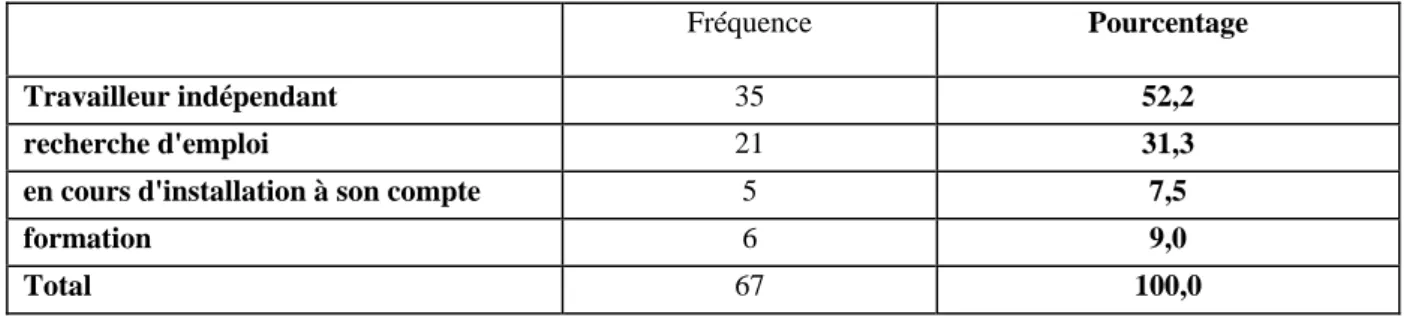 Tableau 7 : Situation secondaire / double activité 