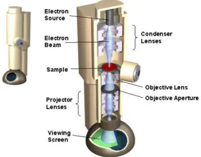 Figure II-23: Illustration of the different parts of a Transmission Electron Microscope 