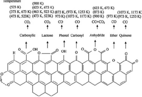 Figure I-7: Example of functional groups that can potentially exist on the biochar surface [40] 
