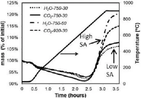 Figure I-18: Catalytic performance of different char samples for methane cracking [19] 