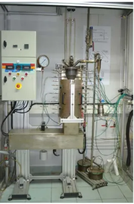 Figure II-2: Picture of the fluidized bed at RAPSODEE center 