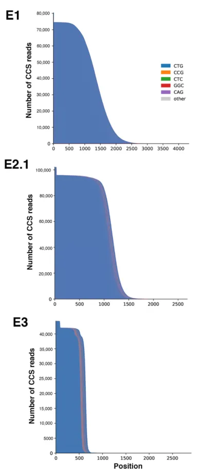 Figure 4. Waterfall plots outline the repeat structure of the normal and expanded alleles in family  E