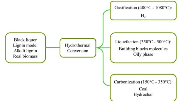 Figure 68: Summary of expected products from hydrothermal conversion of biomass 
