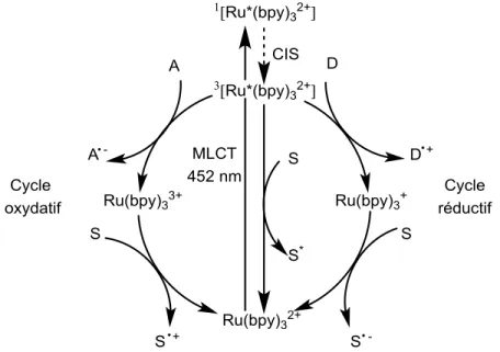 Figure 1.8 : Cycle oxydatif et réductif du Ru(bpy) 3 2+