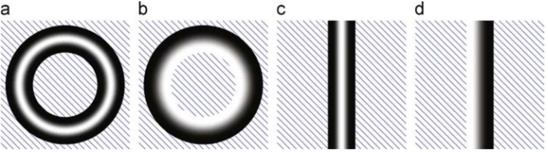 Fig. 3. A displacement ﬁeld between initial (circular) and ﬁnal (bean-shaped) shapes. (a) The ﬁeld, (b) the circular virtual image of Fig